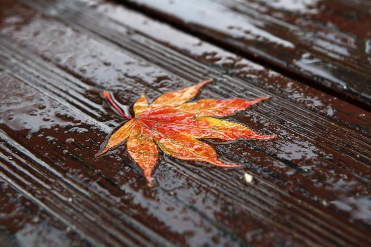 28 жовтня циклон принесе дощі в більшість областей: де збережеться тепло до +17°