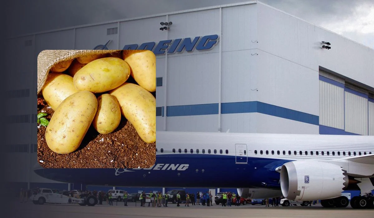 Компанія Boeing замінила пасажирів на 9 тонн картоплі: це покращило якість Wi-Fi в літаку