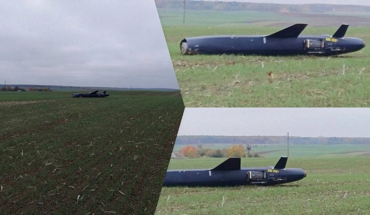На Одещині виявили невідому російську крилату ракету (фото)