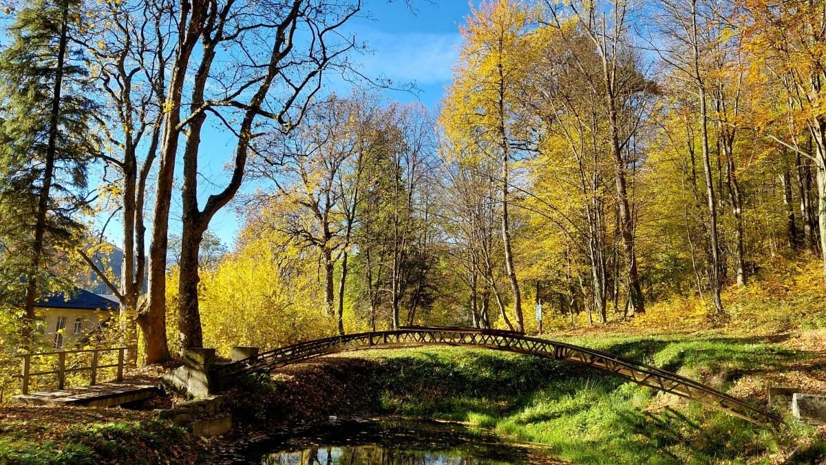 Фото Золота осінь у Сколе 26 жовтня 2026