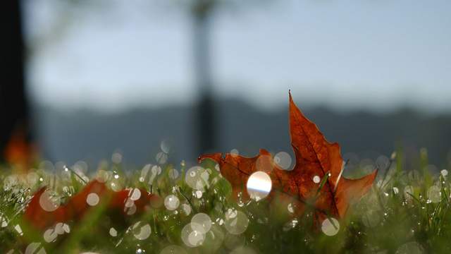 Дощитиме до вихідних: де в Україні прогнозують шквали та потепління
