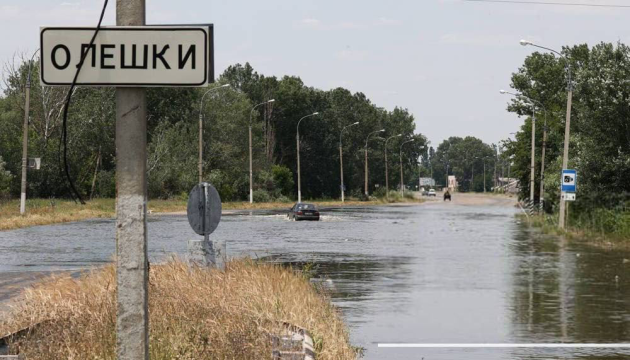 Російськомовна редакція Deutsche Welle вказала вигадану назву міста Олешки - «Алешки»