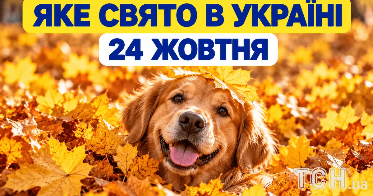 Яке свято 24 жовтня 2026 року
