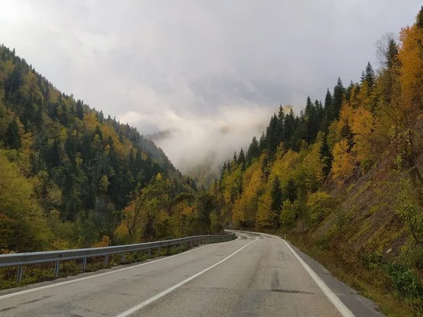 Народні прикмети 22 жовтня / © pexels.com