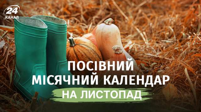 У ці дні нічого садити не можна: посівний місячний календар на листопад
