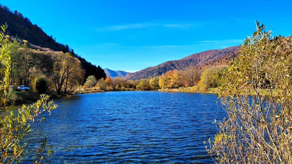 Фото Золота осінь у Сколе 26 жовтня 2026