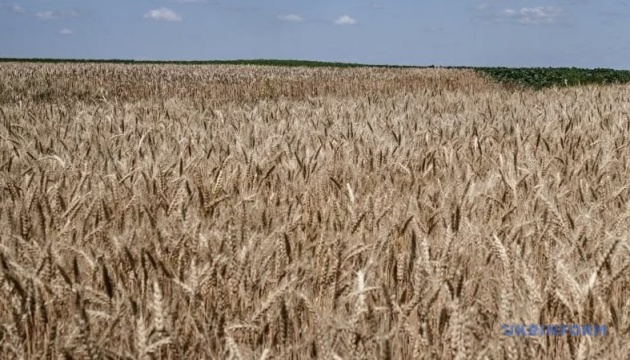 Ринок землі: середня ціна гектара цьогоріч зросла до ₴70,2 тисячі